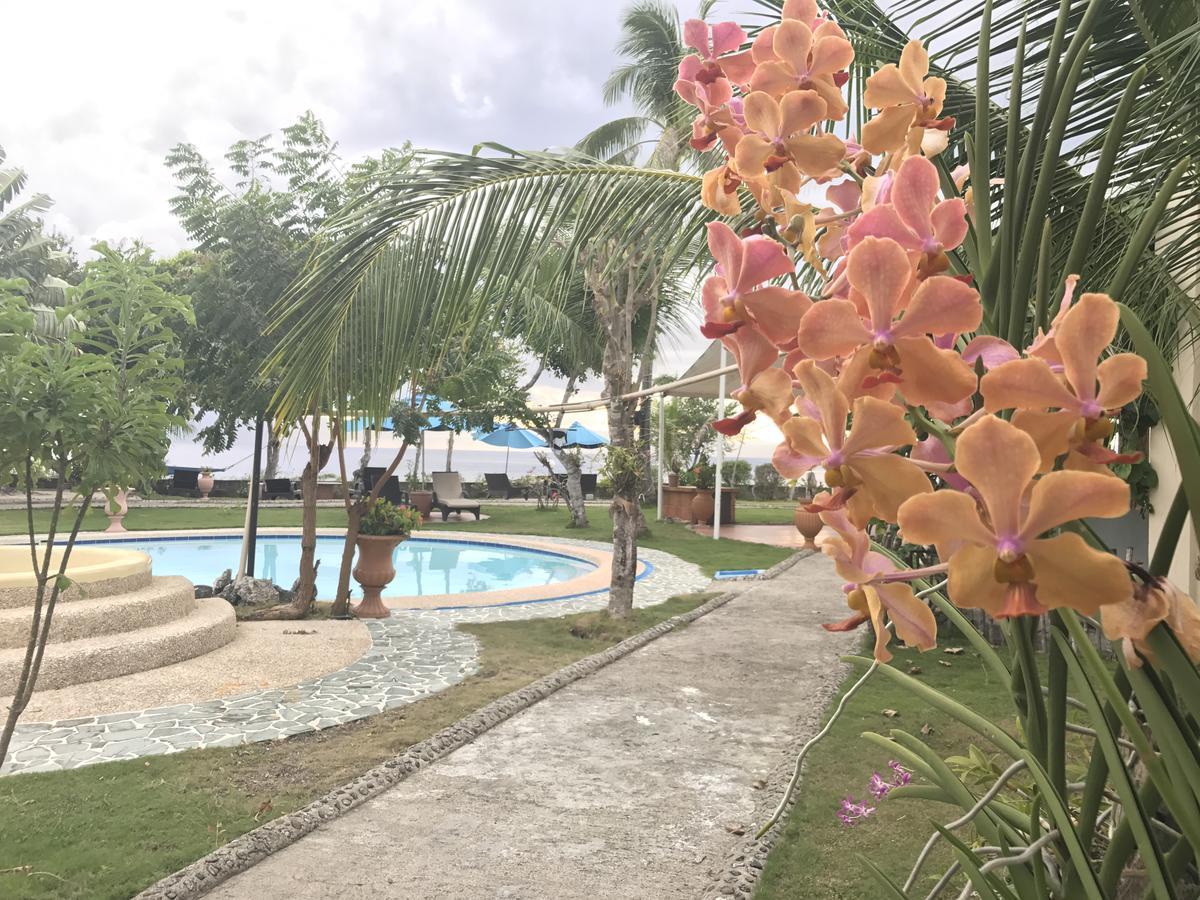 Cabilao Sunset Dive & Beach Resort Loon Bagian luar foto