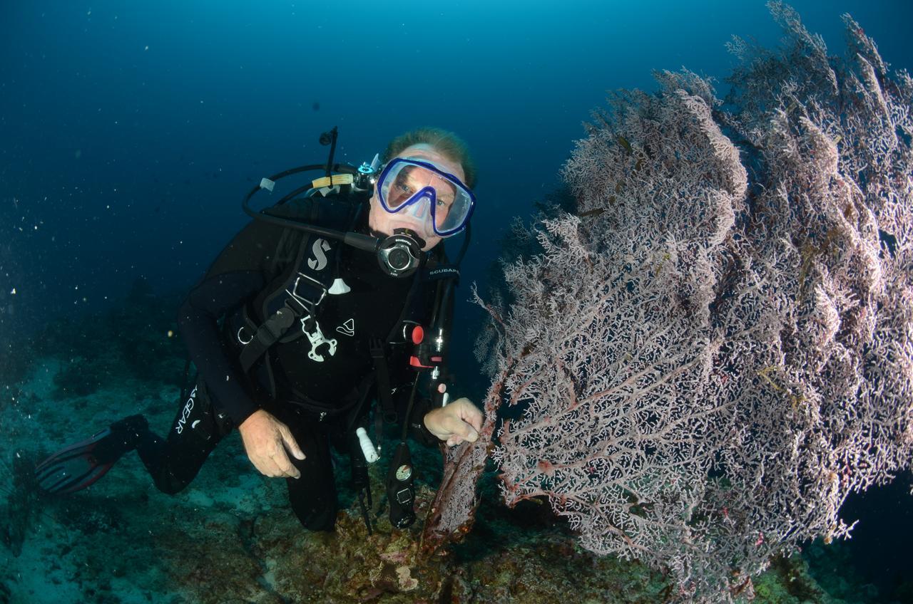 Cabilao Sunset Dive & Beach Resort Loon Bagian luar foto